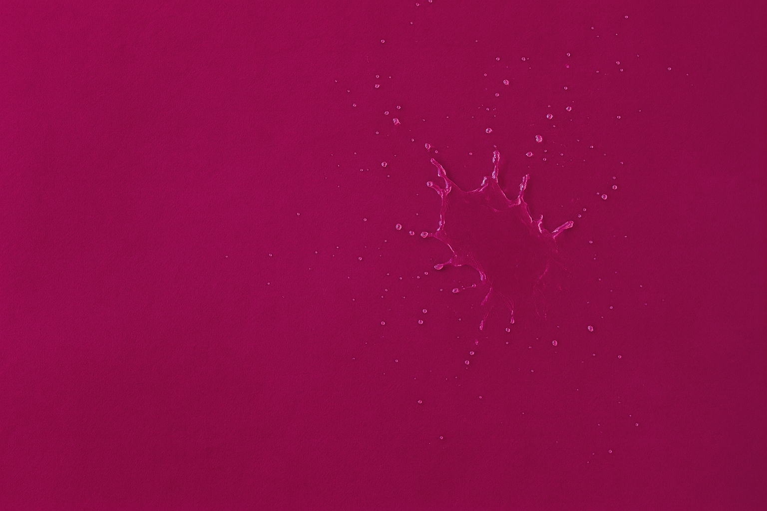 FOREST BERRIES HYDRATION